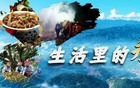 生活里的永平味道 | 全国县域足球赛永平县基层赛暨第三届“足协杯”五人制足球比赛开赛